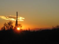 Arizona sunset